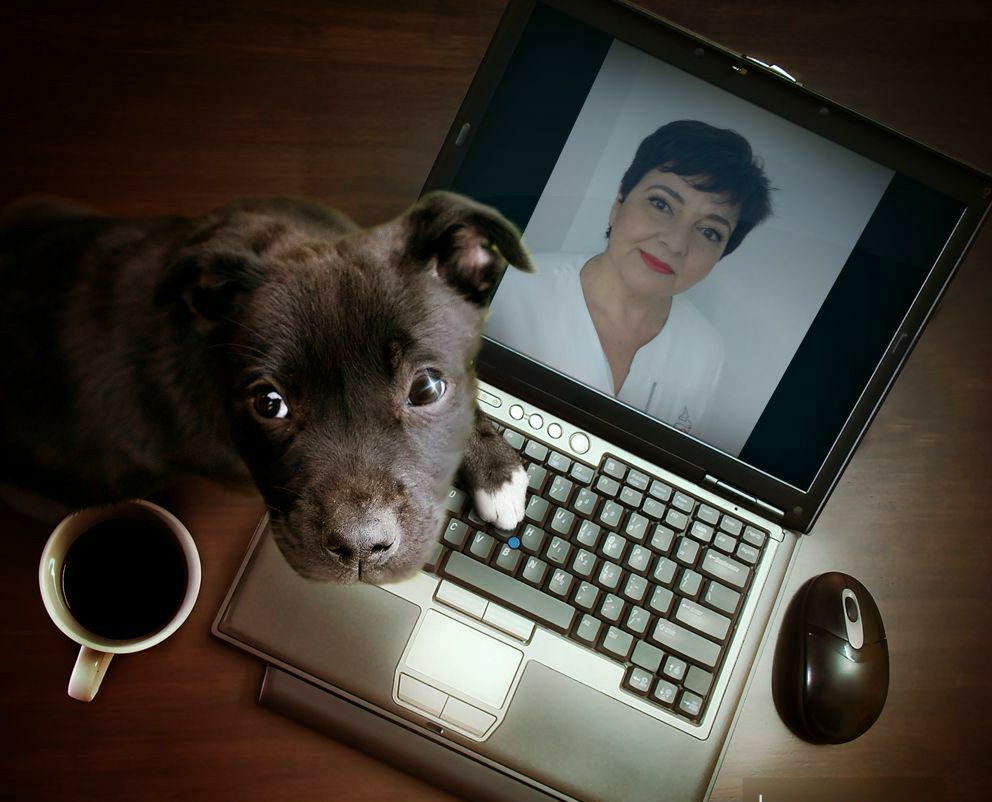 En la pantalla del ordenador portátil aparece una fotografía de la profesora. A la izquierda una taza de café y un perrito
